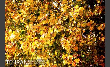 شهرک مسکونی شهید باقری 4