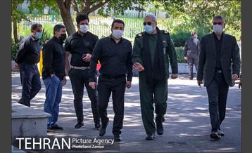 روز ملی کشتی 19