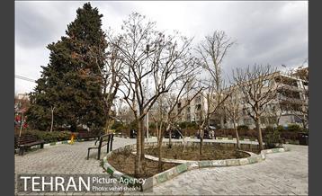 بوستان شهرآرا 6