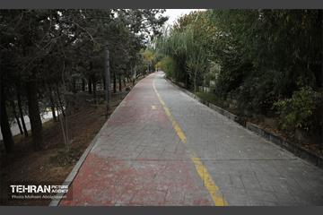 طبیعت پاییزی باغ راه فدک تهران 2