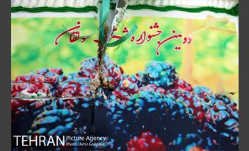 دومین جشنواره شاتوت دردهستان سولقان 33