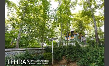 بوستان شطرنج 17