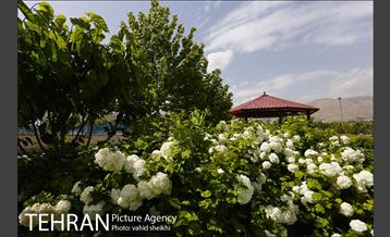 بوستان جوانمردان 21