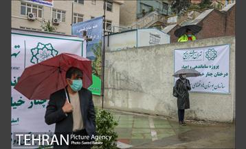 آئین کاشت درخت زندگی 28