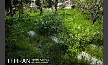 گورستان ده ونک 19