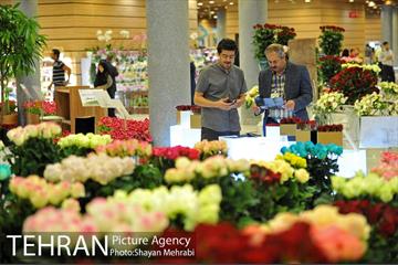 شانزدهمین نمایشگاه بین المللی گل و گیاه تهران - 2 23
