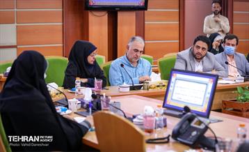 بازدید نرگس معدنی پور از منطقه 17