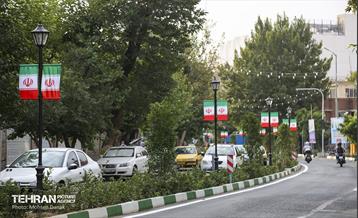 رفیوژ های همیشه سبز 8