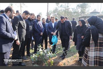 آیین کاشت ۱۰۰۰ نهال به مناسبت میلاد با سعادت حضرت علی (ع) 7