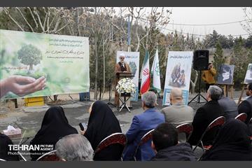 جشن درختکاری در منطقه ۵ 30