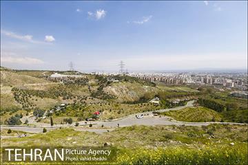 بوستان جنگلی کوهسار 28