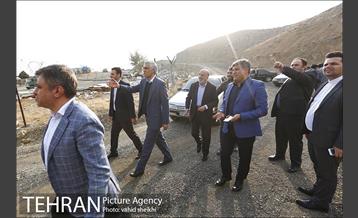 بازدید شهردار تهران از پروژه درختکاری کمربند سبز تهران  1