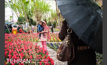 جشنواره لاله‌ها در بوستان زندگی محله هرندی 21