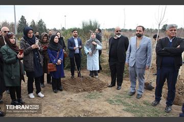 کاشت نهال یادمان تشکل ها در بوستان سمن ها 25