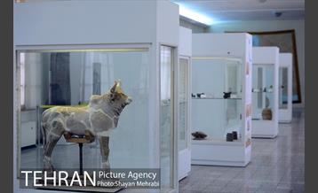 موزه ملی ایران باستان 7