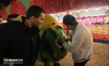 جشنواره انار در بوستان آب و آتش  19