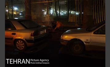 هواداران شب قبل از شهرآورد ۸۴ 10