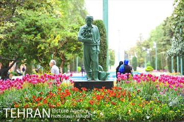رویش گل لاله در پارک شهر 2