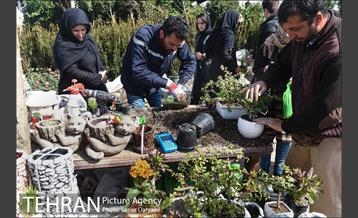 بازار گل شهید محلاتی 1