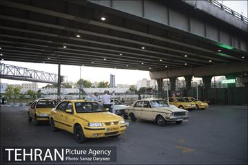 میدان شقایق‎ 10