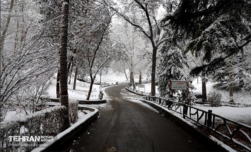 صبح برفی بوستان ملت 1