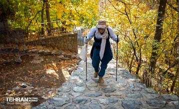 سمفونی رنگ های پاییزی - دربند 23