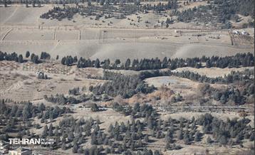 هوای پاک تهران 31