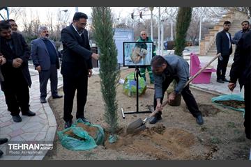 جشن درختکاری در منطقه 18 18