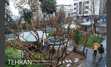 رویداد تهران شهری برای همه زنان 3