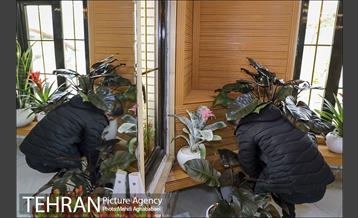 مرکز گل و گیاه ایوار 15