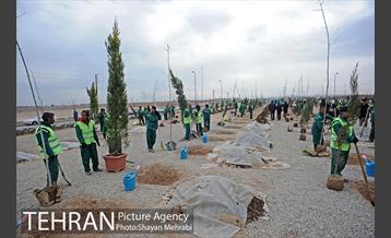 آیین کاشت درخت ایثار و امنیت 4