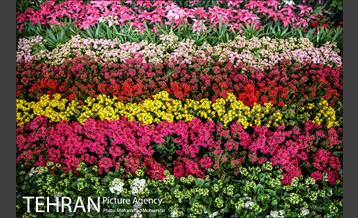 هفدهمین نمایشگاه بین‌المللی گل و گیاه 20