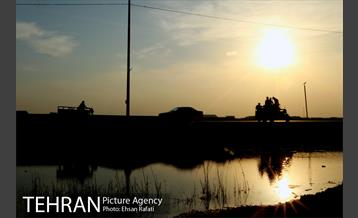 پیاده روی زائران به سمت کربلا از مرز شلمچه 9