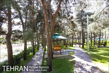 آیین افتتاح و بهره برداری از بوستان مرضیه حدیدچی دباغ  38