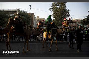 ورود نمادین کاروان امام حسین‌(ع) به کربلا 18