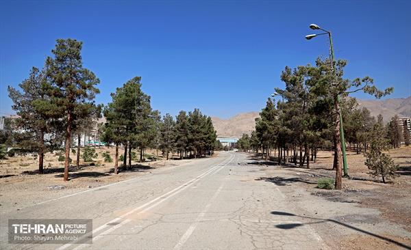 بازدید اصحاب رسانه از روند انجام عملیات احیای چیتگر 66