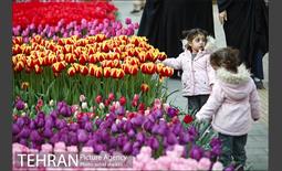 هفتمین سالگرد رویداد جذاب و دیدنی "پیاده راه لاله برای مادران" 5
