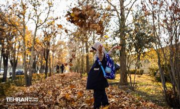 گذرگاه های پاییزی پایتخت - منطقه 14