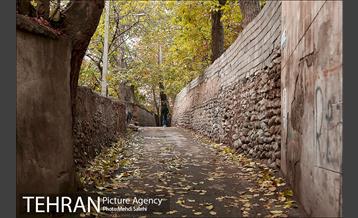 پاییز زیبای منطقه کن 8