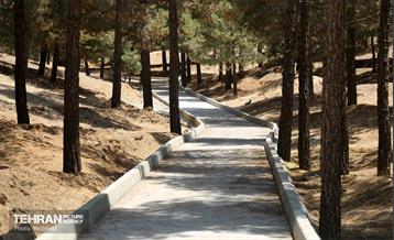 پیاده-راه-سلامت-بارک-بانوان