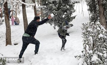 بارش برف در تهران 12
