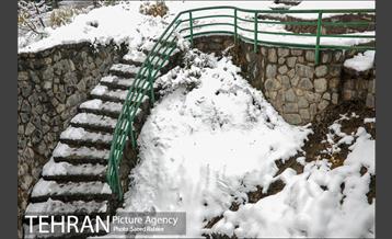 برف زمستانی پارک جمشیدیه 5