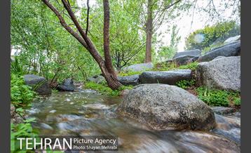 باغ گیاه‌شناسی ملی ایران 12