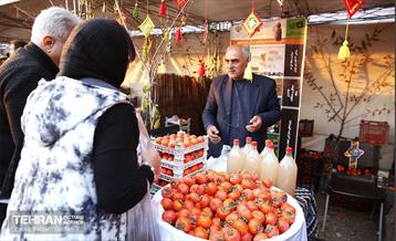 ششمین جشنواره خرمالو 1