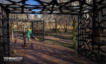 باغ گلاریس 37