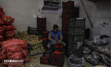 تره‌بار یلدایی 51