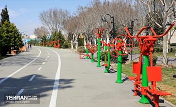 طرح استقبال از بهار 53