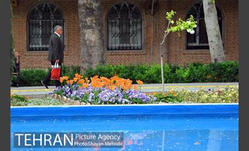 رویش گل لاله در پارک شهر 16