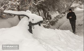 روایت مه‌و‌برف در بوستان سنگی تهران  15