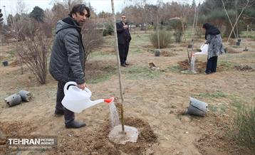 کاشت نهال یادمان تشکل ها در بوستان سمن ها 16